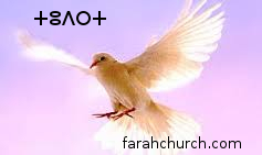 "انظروا إلى طيور السماء.. أبوكم السماوي يقوتها" (متى 26:6)